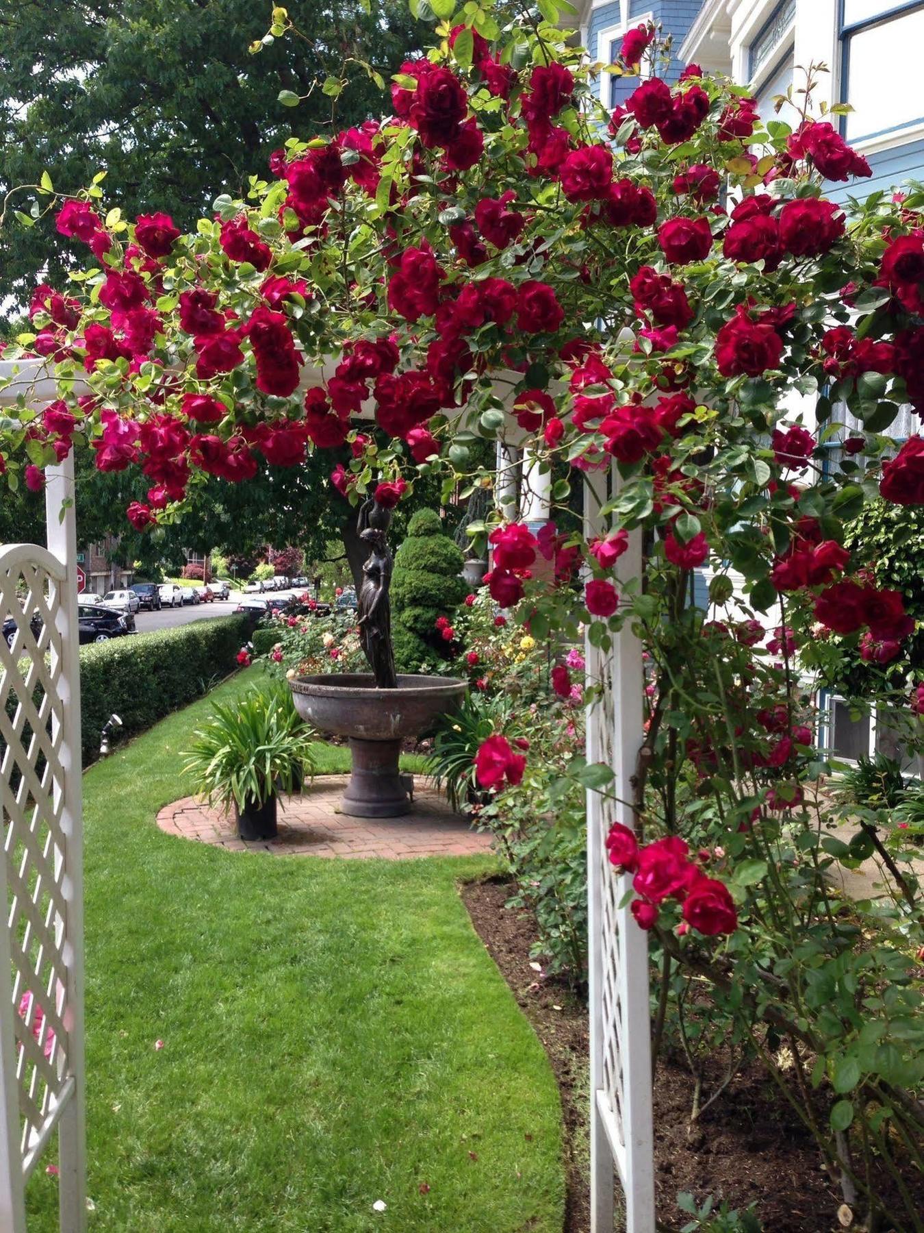 Lion And The Rose Victorian Guest House Portland Bagian luar foto