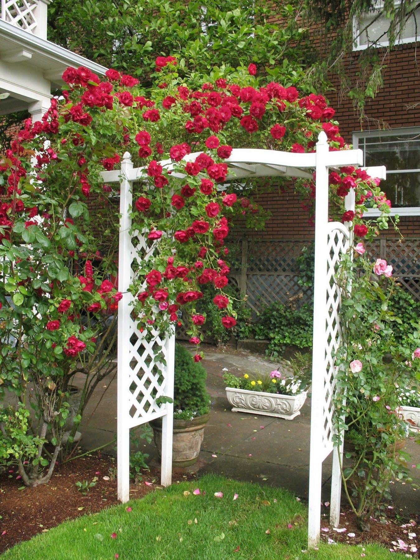 Lion And The Rose Victorian Guest House Portland Bagian luar foto