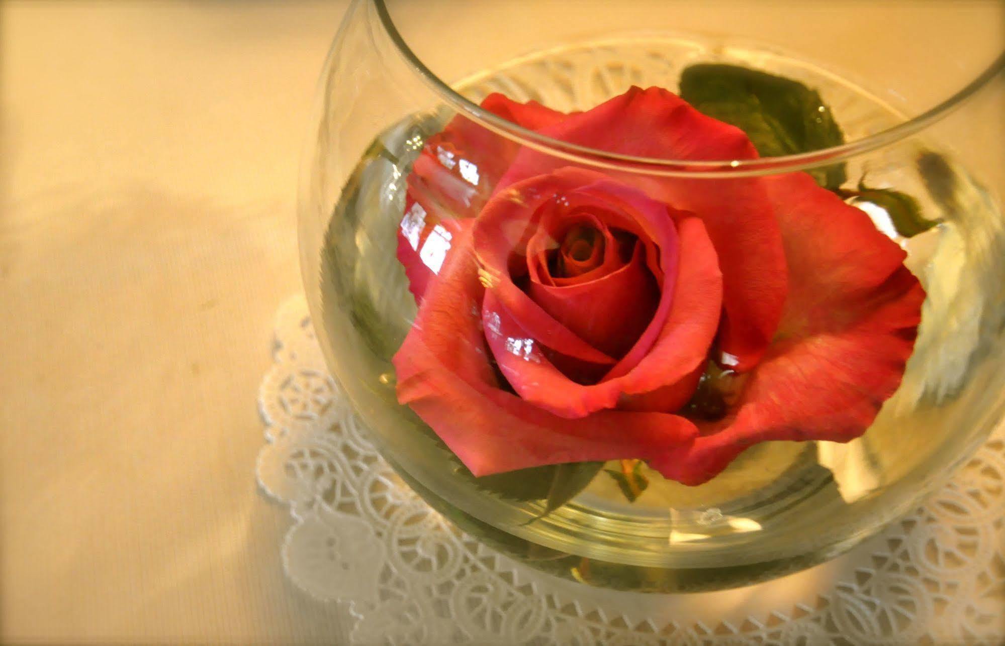 Lion And The Rose Victorian Guest House Portland Bagian luar foto
